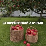 Современный дачник