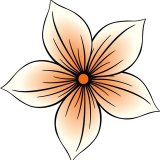 Цветы | Букеты | Композиции